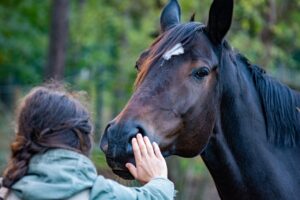 hippotherapy in occupational therapy